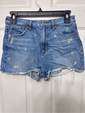 American Eagle Outfitters Blue Denim Floral Embroidered Shorts